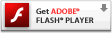 ???? Adobe Flash Player