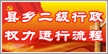 县乡二级行政运行流程台